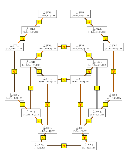 http://www-igm.univ-mlv.fr/~luque/Yang.png