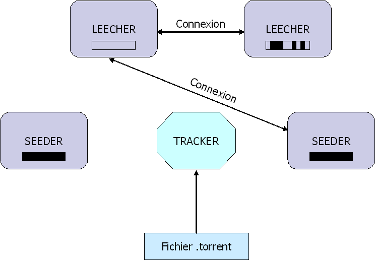 Connexion entre les clients (leecher - leecher, leecher - seeder)
