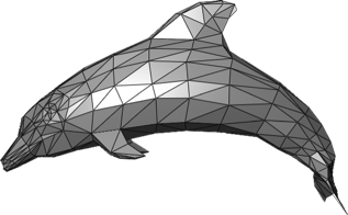 dolphin