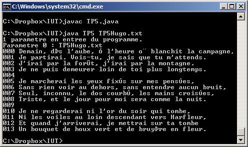 Affichage du contenu d'un fichier texte