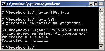 Paramètres d'un programme Java