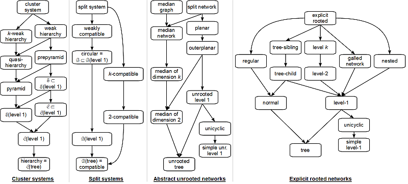 A hierarchy of restrictions on phylogenetic networks