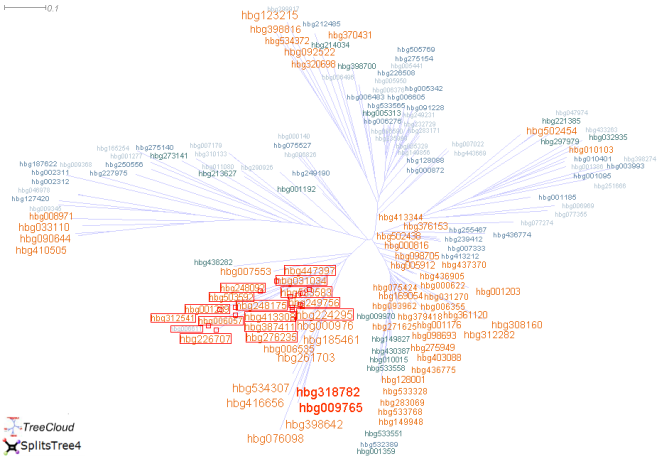 Nuage arbor� d'un extrait de la base de donn�es HOGENOM